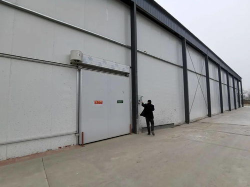 莘縣農(nóng)產(chǎn)品冷鏈倉儲(chǔ)物流項(xiàng)目助力鄉(xiāng)村振興