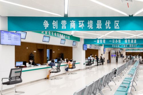 打造'溧即辦'黨建新品牌，讓服務窗口成為'人心窗口'